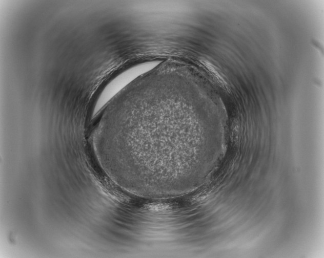 X0000098090500200804181239