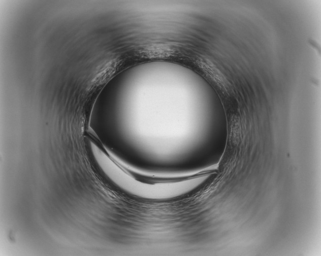 X0000098090501200804181239