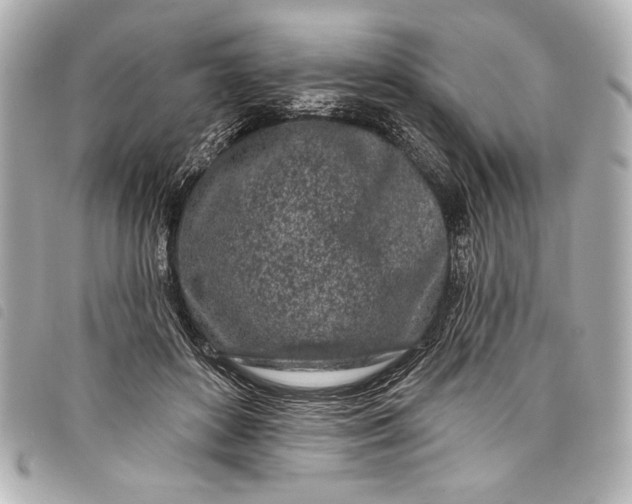 X0000098090504200804181239