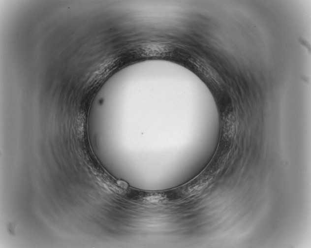 X0000098090505200804181239