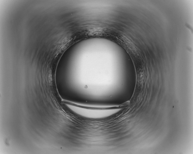 X0000098090508200804181239