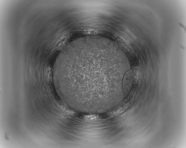 X0000098090511200804181239