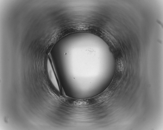 X0000098090512200804181239