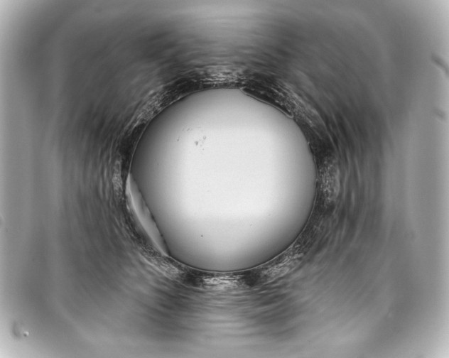X0000098090516200804181239