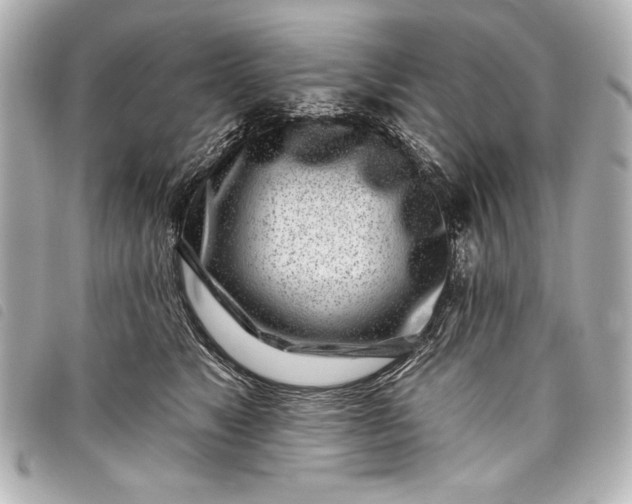 X0000098090517200804181239