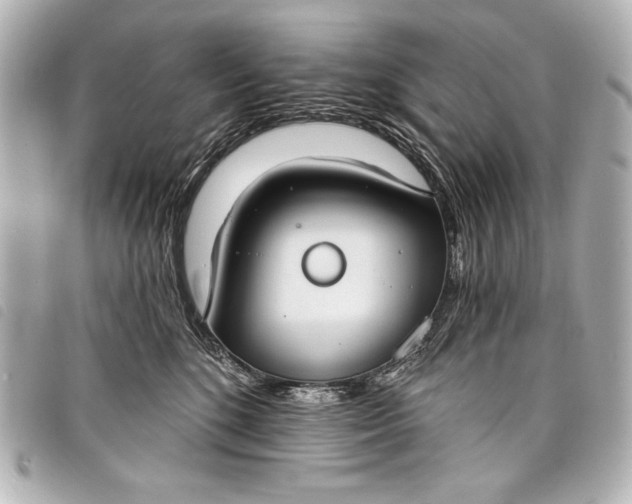 X0000098090520200804181239