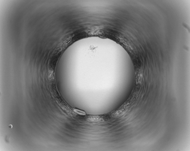 X0000098090521200804181239