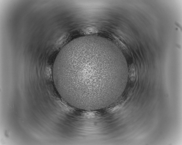 X0000098090523200804181239
