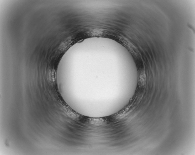 X0000098090525200804181239