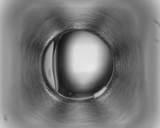 X0000098090530200804181238