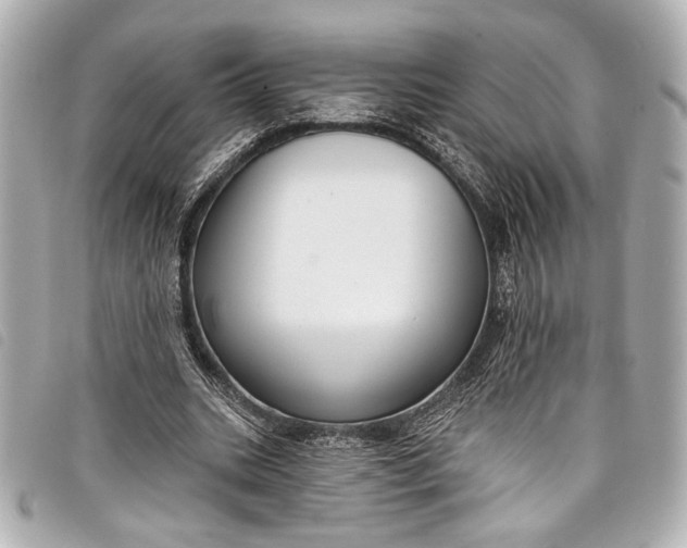 X0000098090535200804181238