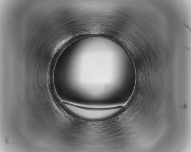 X0000098090536200804181238