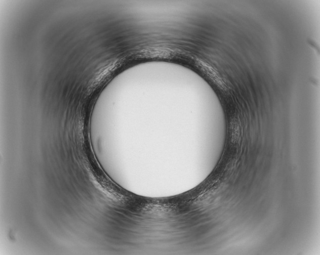 X0000098090538200804181238