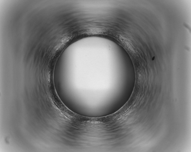 X0000098090539200804181238