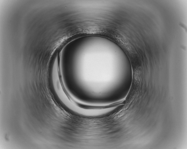 X0000098090540200804181238