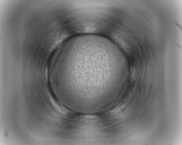 X0000098090542200804181238