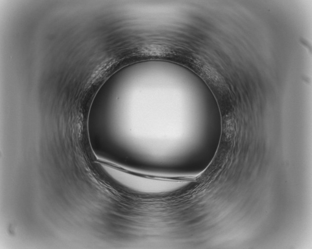 X0000098090544200804181238
