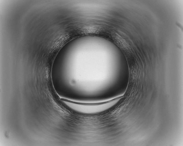 X0000098090546200804181238