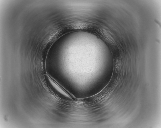 X0000098090547200804181238