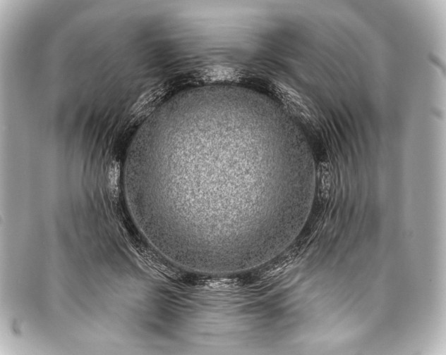 X0000098090550200804181238