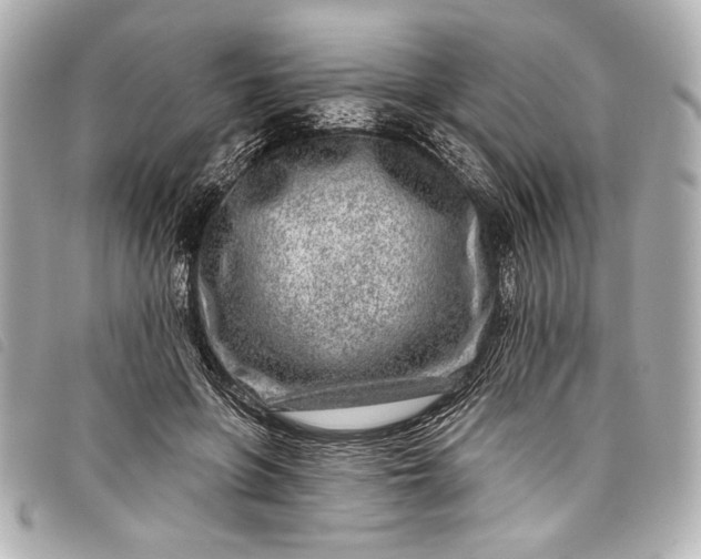 X0000098090551200804181238