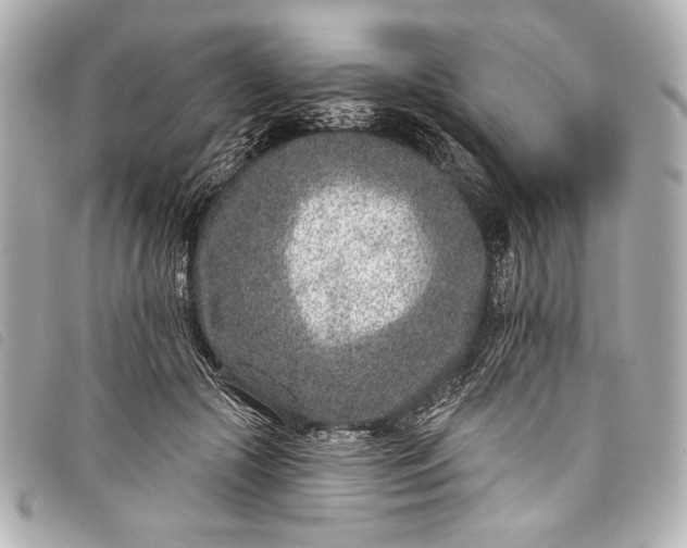 X0000098090553200804181238