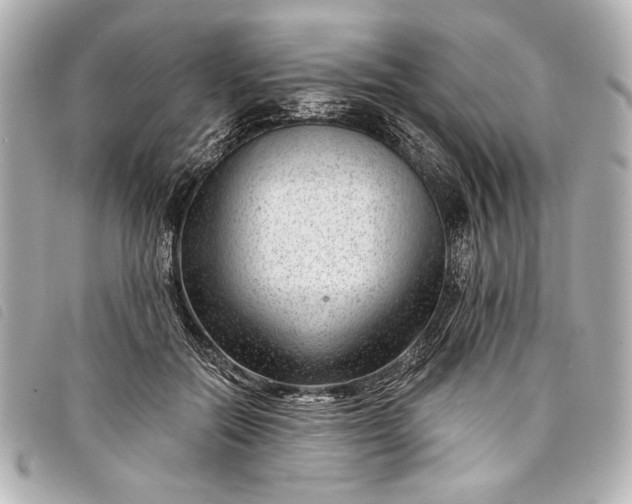 X0000098090554200804181238