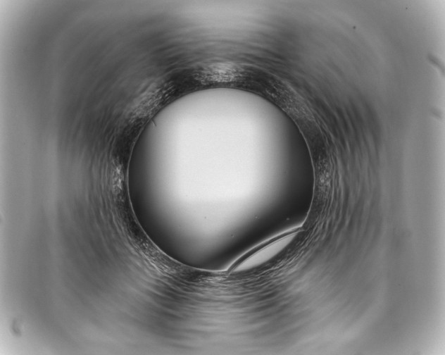 X0000098090555200804181238