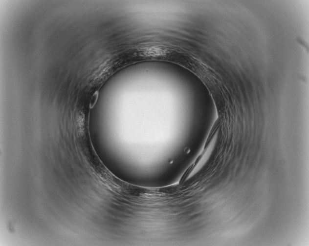 X0000098090556200804181238