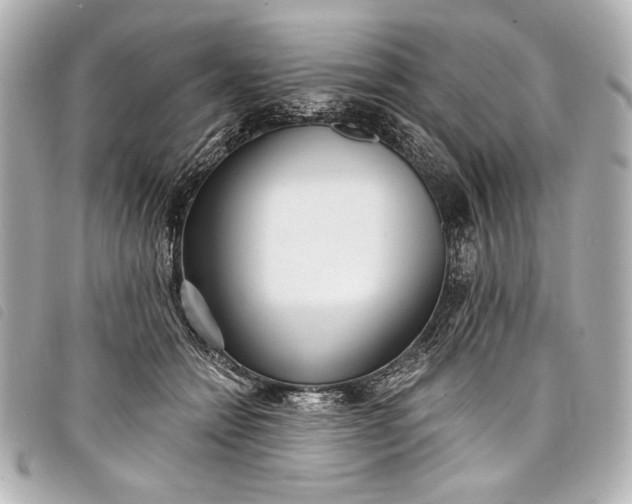 X0000098090558200804181239
