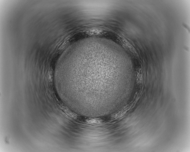X0000098090561200804181239