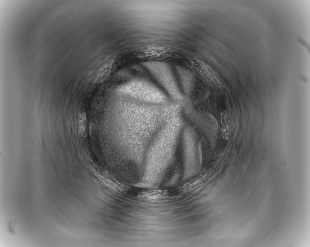 X0000098090563200804181239
