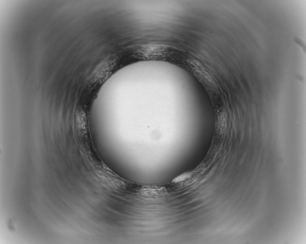 X0000098090571200804181239