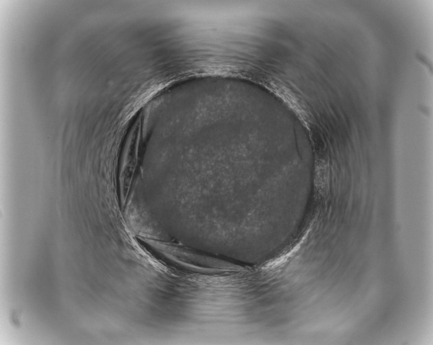 X0000098090577200804181238