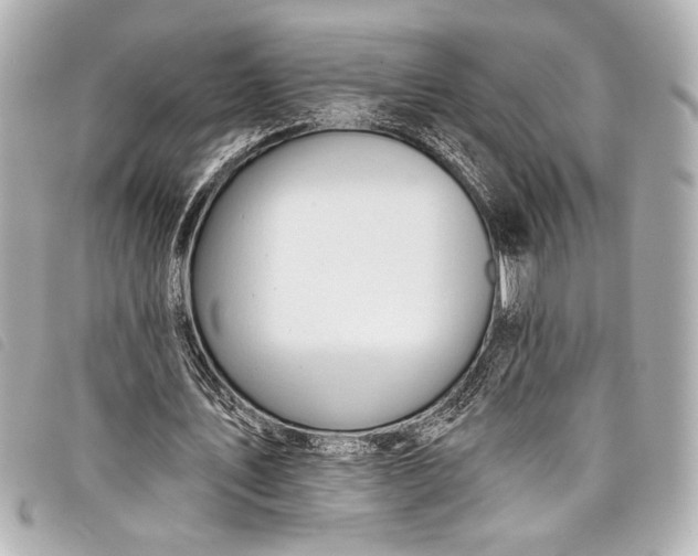 X0000098090579200804181238