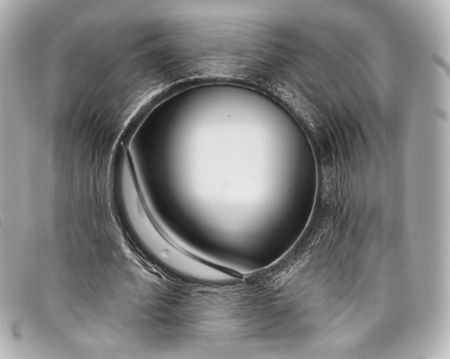 X0000098090580200804181238