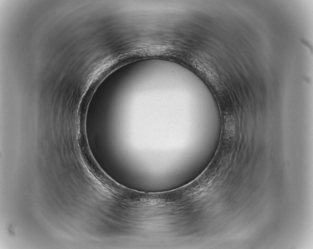 X0000098090582200804181238