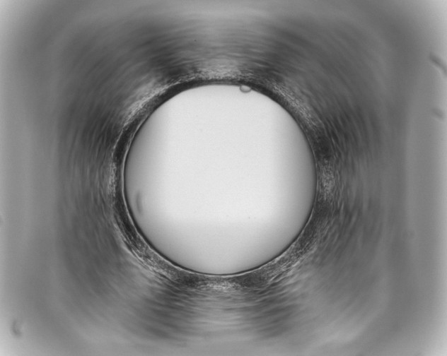 X0000098090583200804181238