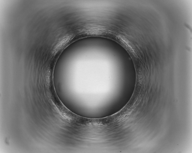 X0000098090586200804181238