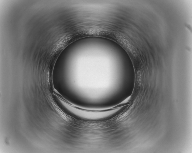 X0000098090589200804181238