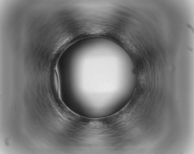 X0000098090591200804181238