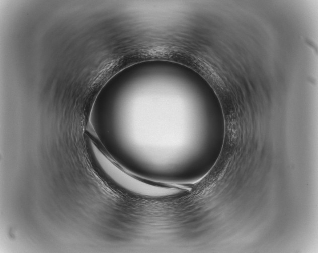 X0000098090593200804181238
