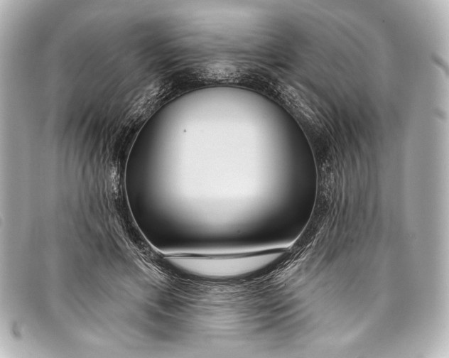 X0000098090597200804181238