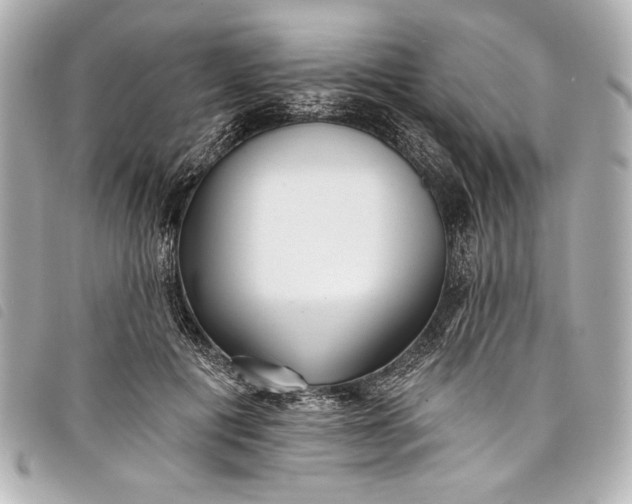 X0000098090601200804181238