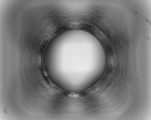 X0000098090602200804181238