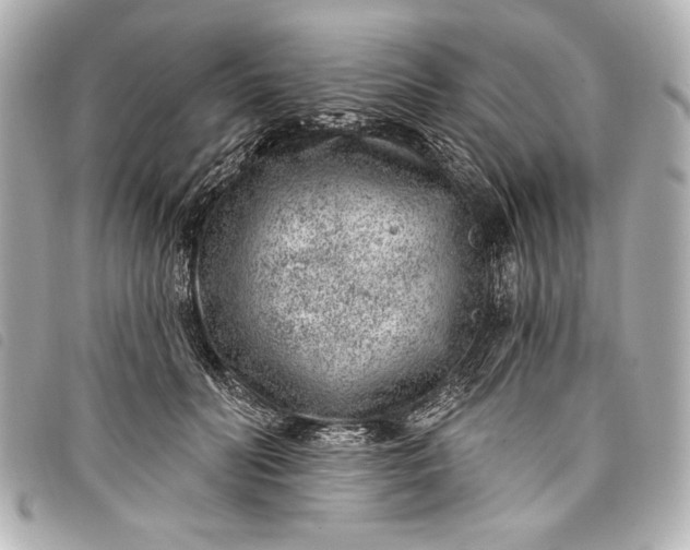 X0000098090606200804181238