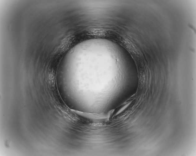 X0000098090609200804181237