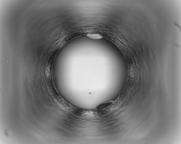 X0000098090611200804181237
