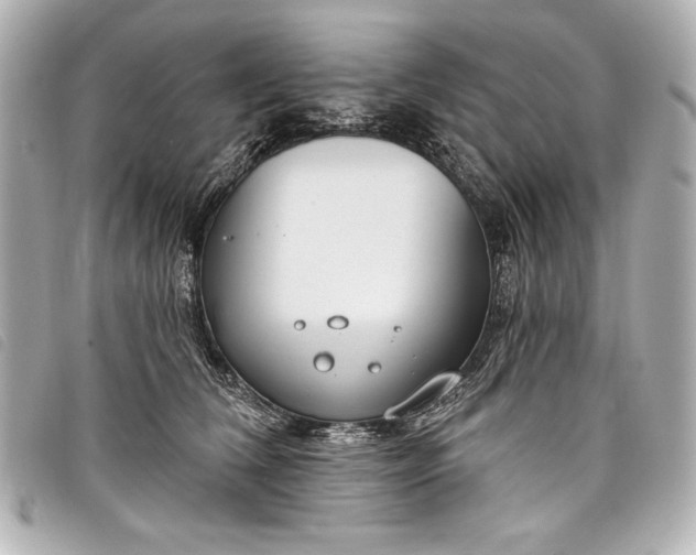 X0000098090612200804181237