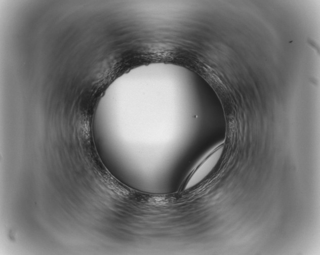 X0000098090613200804181237